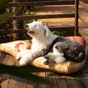 cachorro deitado sobre almofadão para cachorro em formato de fatia de pizza