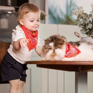 bebê em pé usando bandana babador para bebê vermelho com detalhes preto e branco junto com um gato usando bandana para cachorro r gato vermelho com detalhes branco e preto