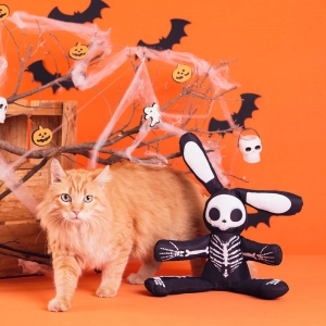 gato junto com um brinquedo temático de halloween em formato de esqueleto de coelho 