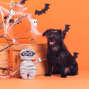 brinquedo temático de halloween em formato de mumia  junto com um cachorro