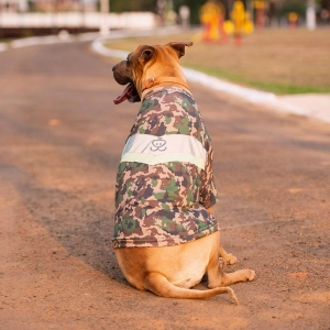 cachorro vestido com camiseta malha estampa camuflada