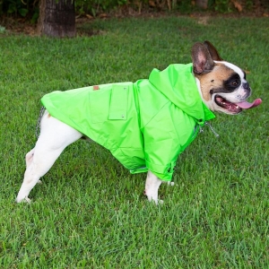  cachorro vestido com capa de chuva verde pet
