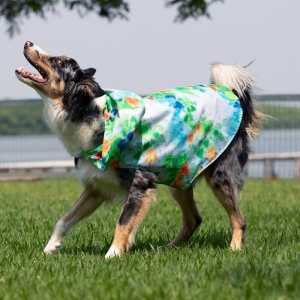 cachorro vestido com capa de chuva tie dye verde pet 