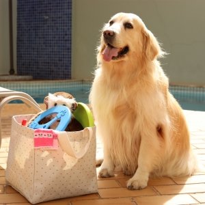cachorro ao lado do cesto organizador de brinquedos tecido cru estampado 