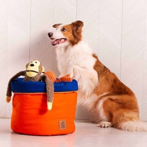 cachorro ao lado do cesto organizador de brinquedos laranja com azul