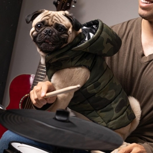 cachorro usando colete com capuz camuflado no colo de um homem tocando bateria