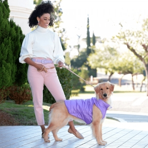 cachorro vestido com colete mood roxo  para cachorro e gato passeando com uma moça