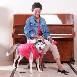 cachorro vestido com colete mood vermelho para cachorro e gato com uma moça em frente a um piano 