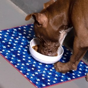 cachorro comendo com comedouro sobre jogo americano para cachorro balão/ estrela