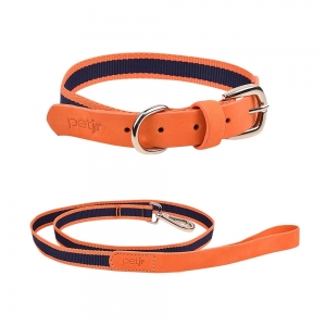 kit coleira - guia laranja para cachorro 