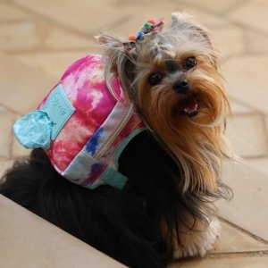 cachorro usando mochila  espacial tie dye rosa/azul passeio