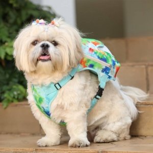 cachorro usando a mochila passeio espacial tie dye verde/azul para cachorro 