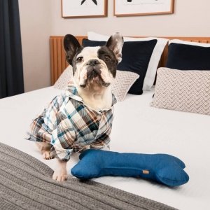 cachorro usando o pijama lulli azul em cima da cama com o de brinquedo blue